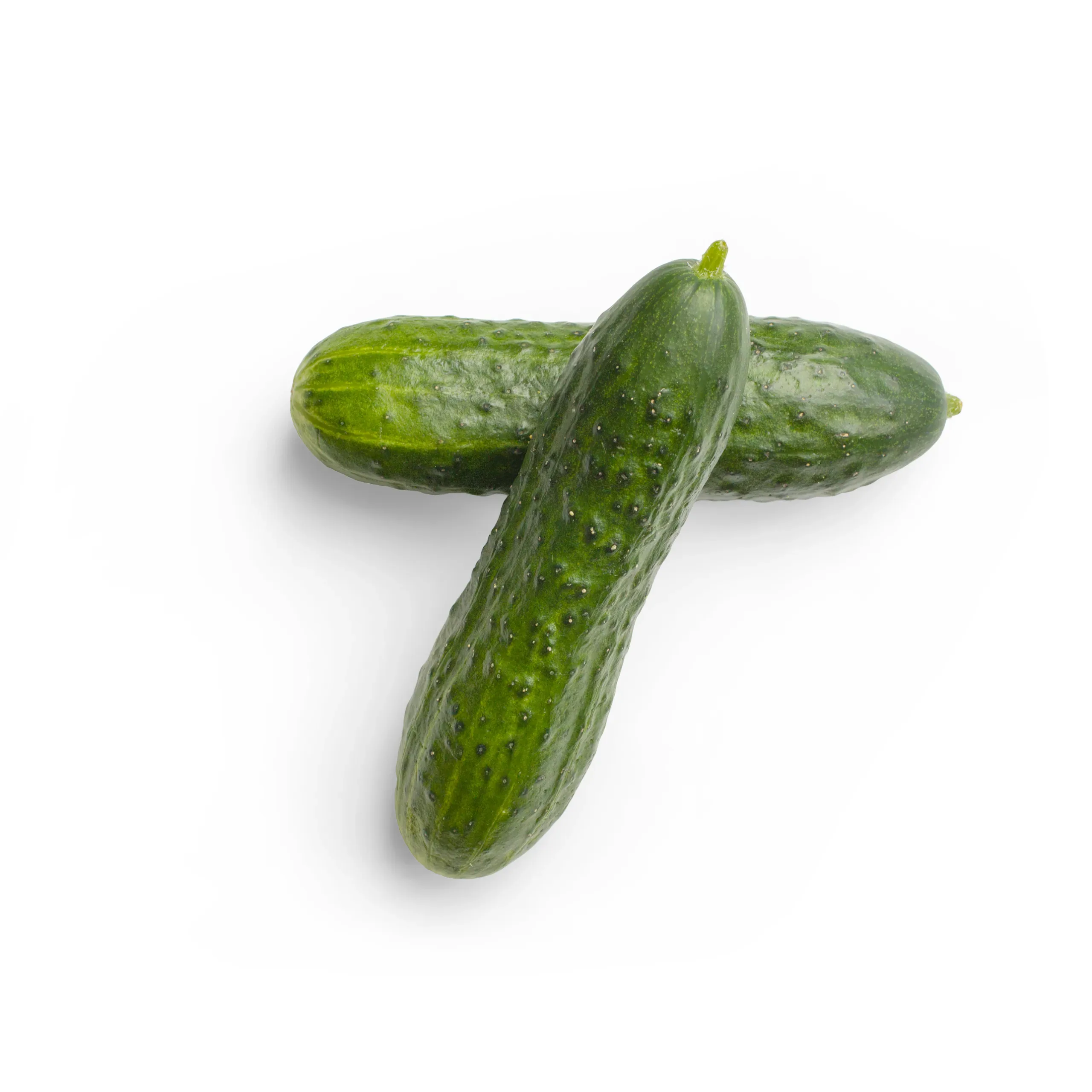 Greenhouse Cucumbers