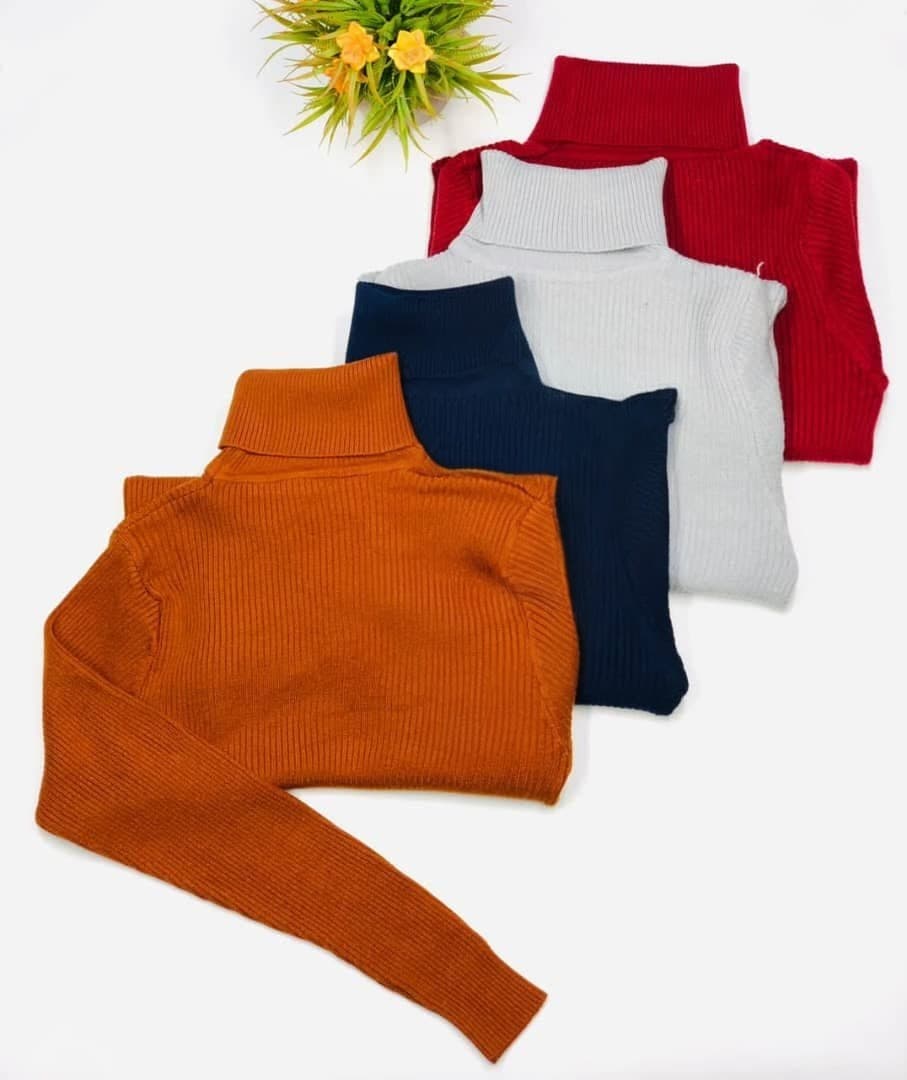 Turtleneck Shirt 