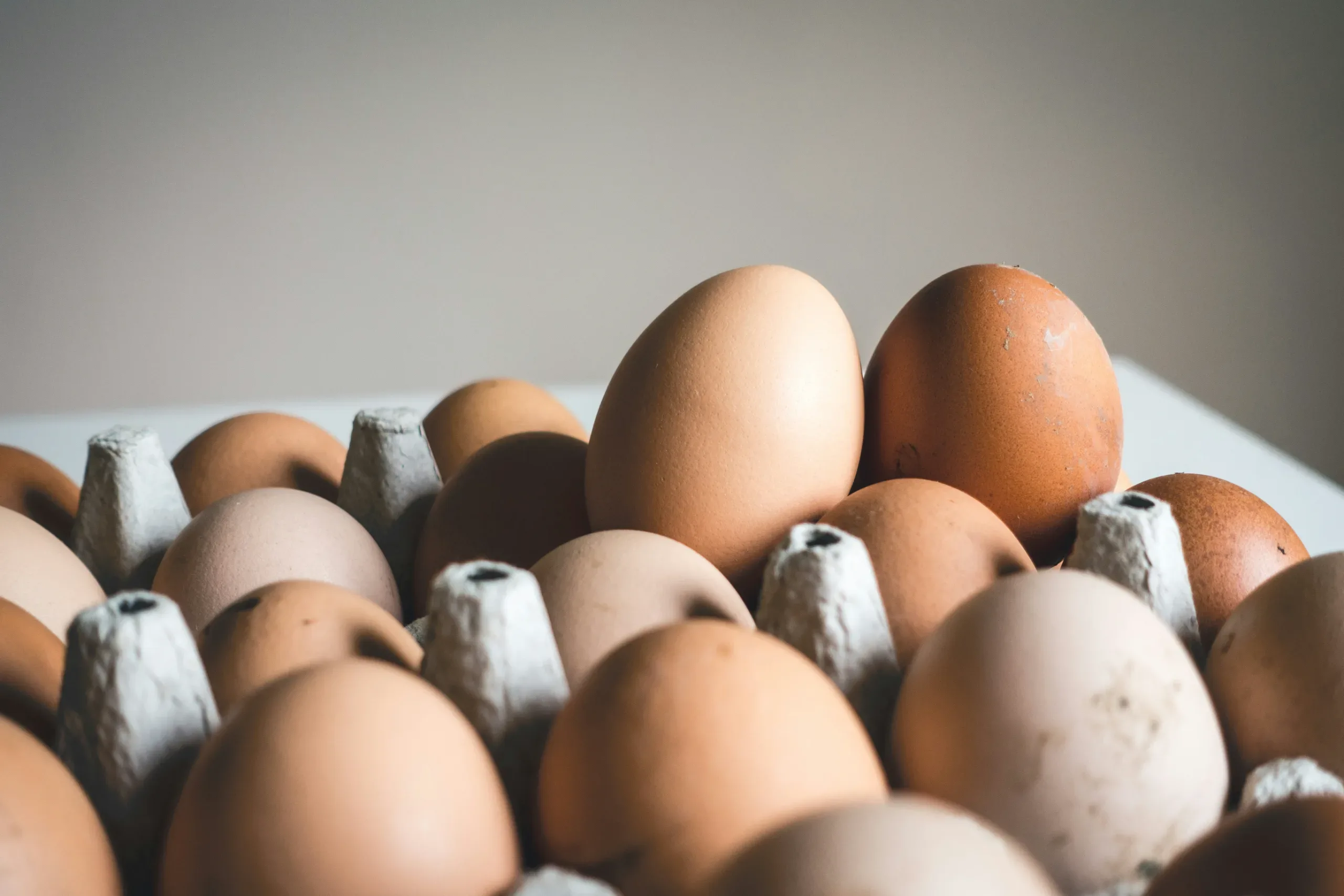 Farm Fresh Eggs