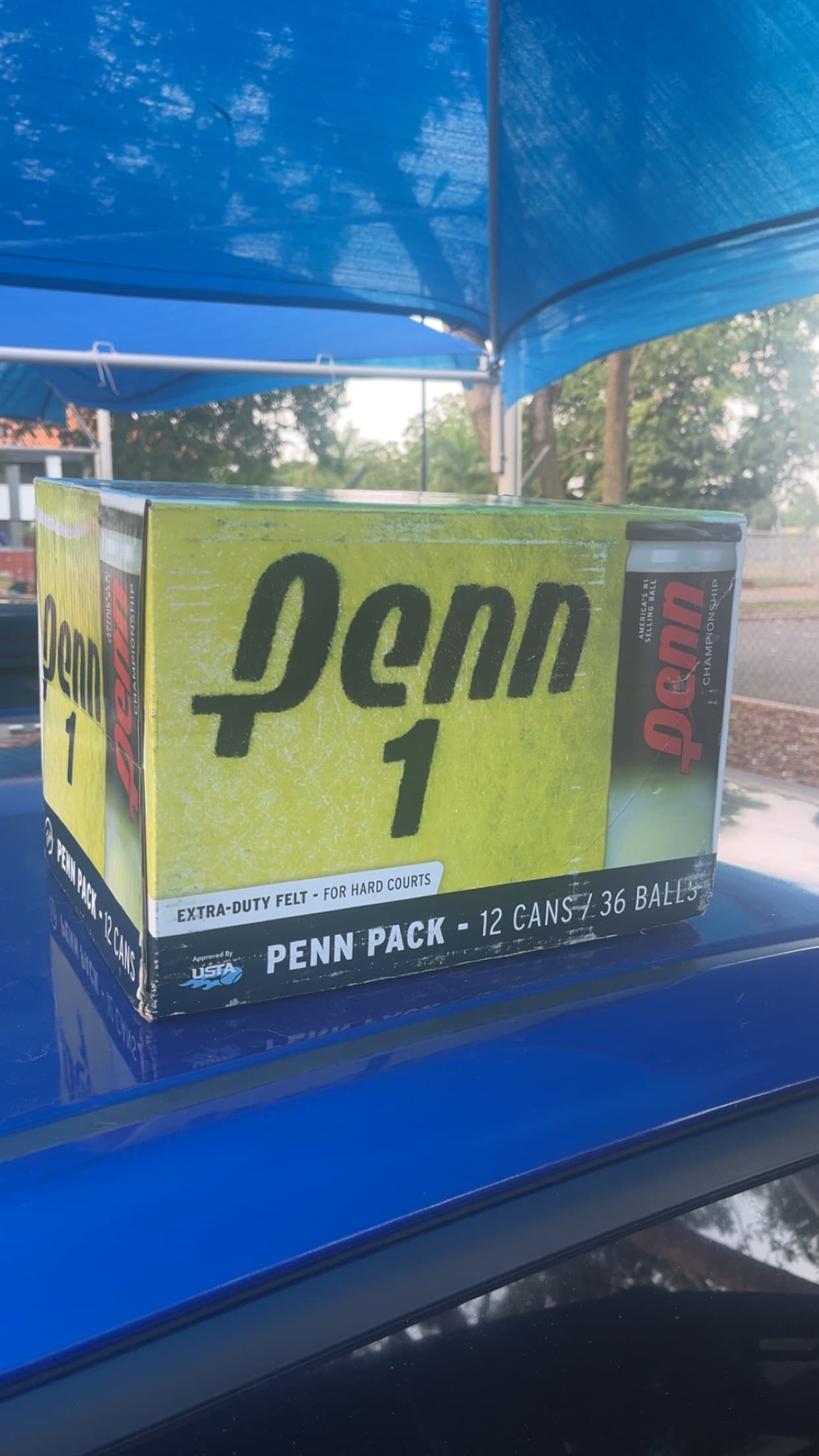 Penn tennis Balls 
