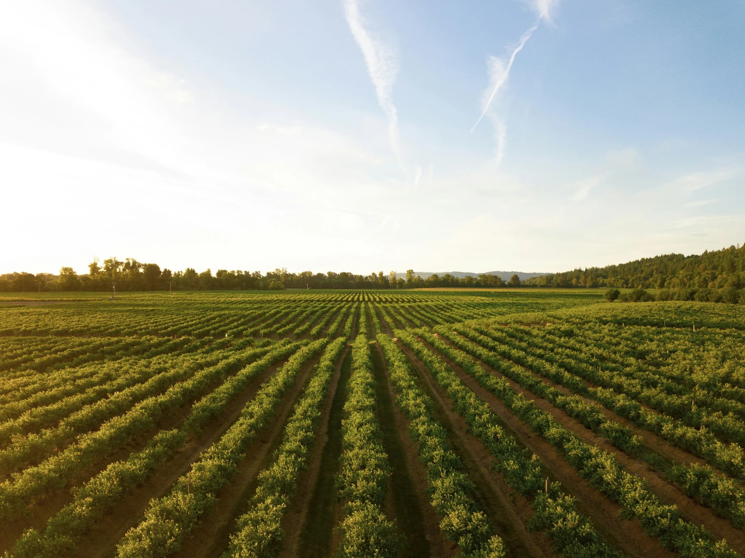 Farm Tour & Agri Training