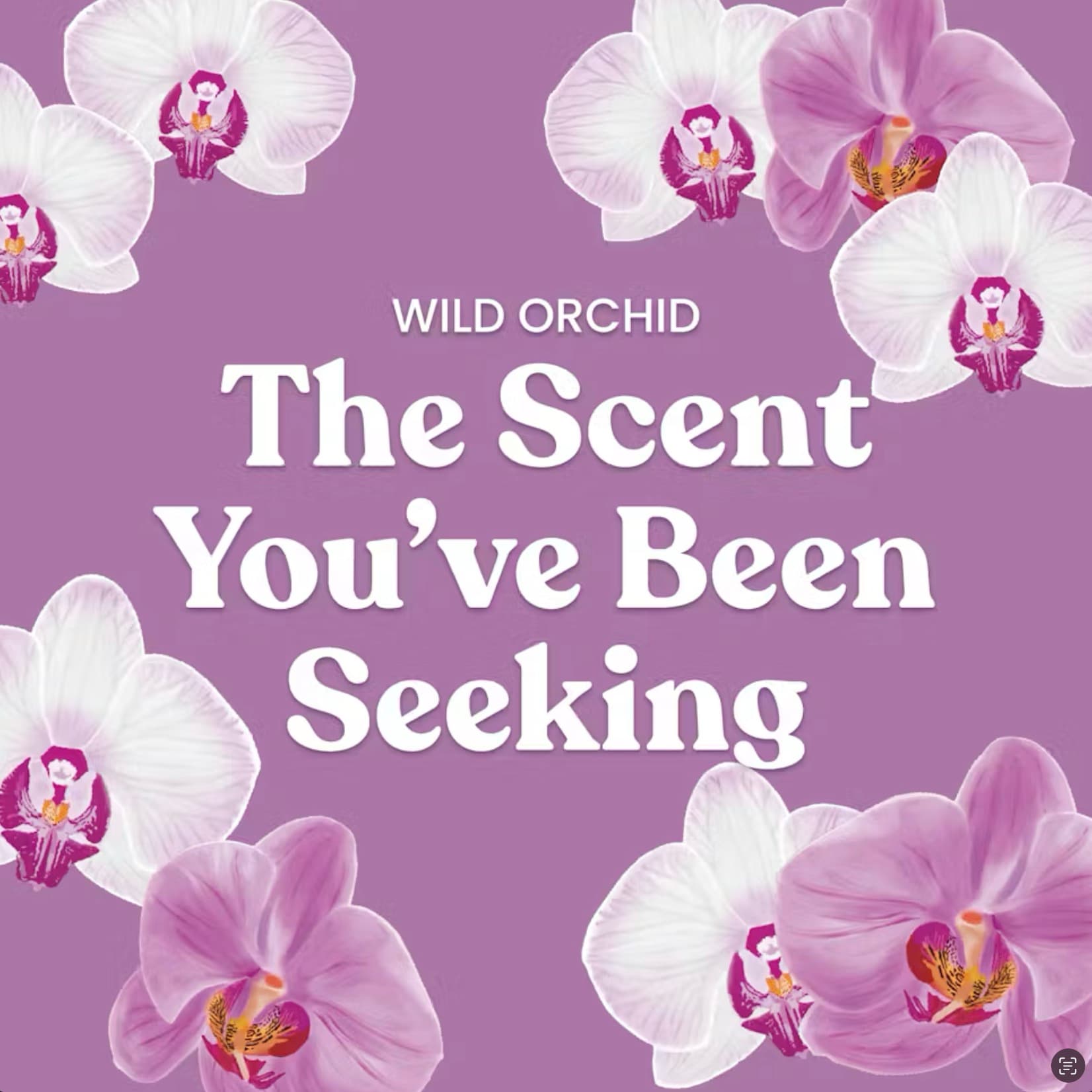 Floral fragrance